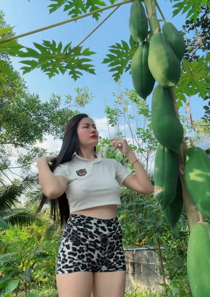 แม่กุ้งนาง สตอรี่